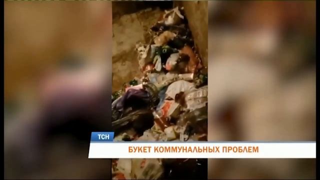 Телевизионная служба новостей