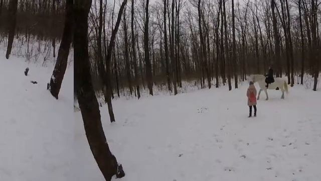 учебное занятие Конный клуб Мустанг смотреть онлайн