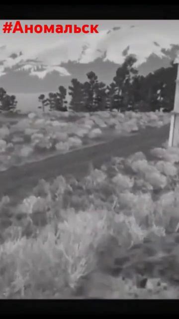 Максимальная Удача #shorts #dayz #namalsk #неудержимые смотреть онлайн