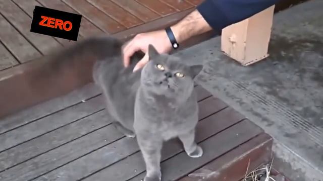 Сборник смешных приколов для взрослых.Лучшие Приколы 2016.МАЙ #5!ПОПКИ!Collection of funny jokes. смотреть онлайн