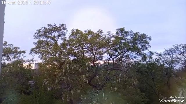 Мариуполь ⚓ МОИ ЛЮБИМКИ 🐈🐈🐈 вечер 🖥️ пятница 16.05.2025 смотреть онлайн