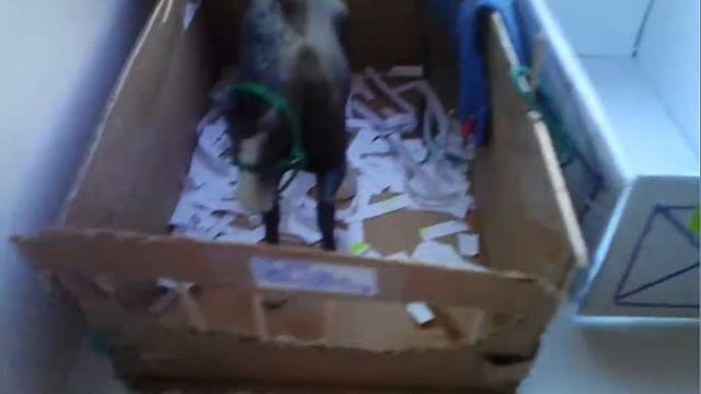 шляйх сериал "Верь в меня" 6 серия смотреть онлайн