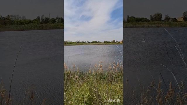 Участок 13 соток , с.Яковенково