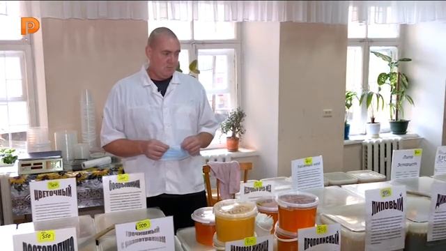 Медовое царство смотреть онлайн