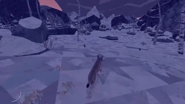 Shelter 2 | Таня, Фокс