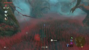 где найти маску корока в зельде BOTW?