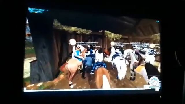 покупка марвари смотреть онлайн