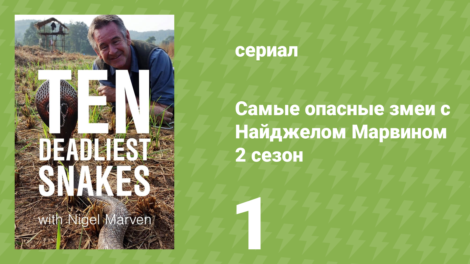 Самые опасные змеи с Найджелом Марвином 2 сезон 1 серия «Малайзия» (документальный сериал, 2015)