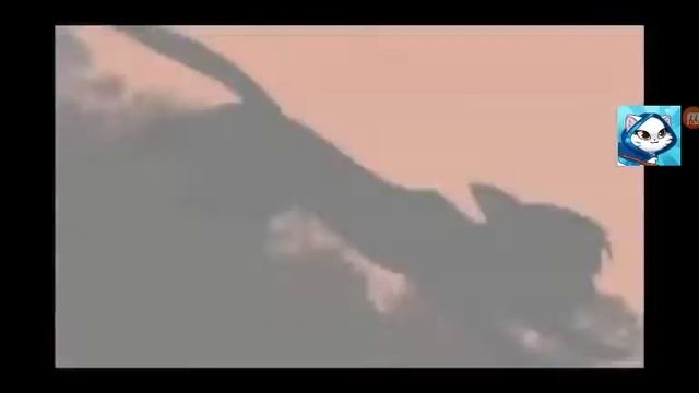 Еживика- а люди не верили..