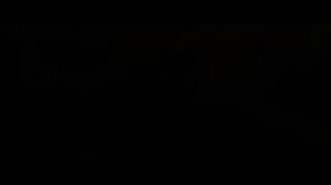 Анатомия любви 2014