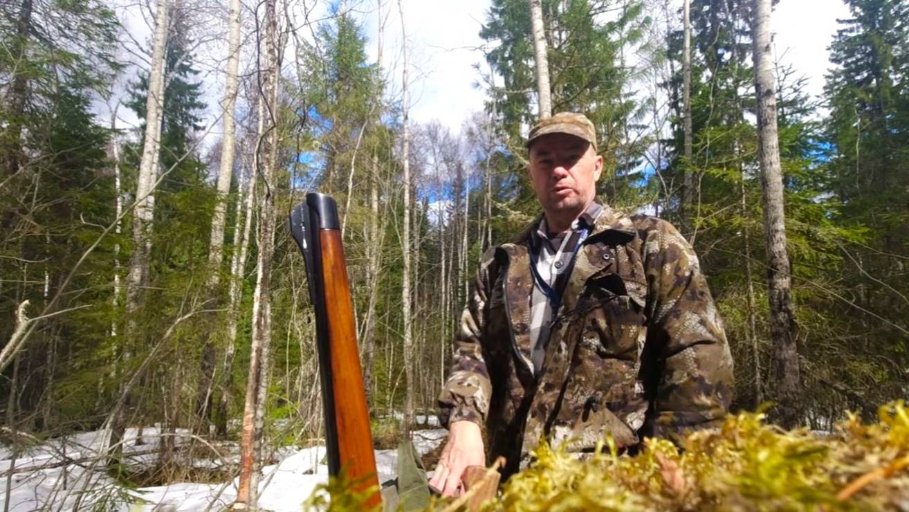 Тайга, собаки нашли медведя, сильный ветер подошёл на верный выстрел, неудачно, хорошая работа собак смотреть онлайн