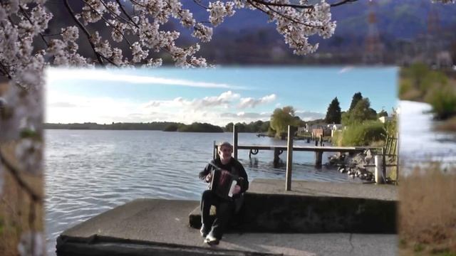 ЦЫГАНСКОЕ ПОПУРРИ -исполняет мелодию Виктор Лукашов гармонь смотреть онлайн