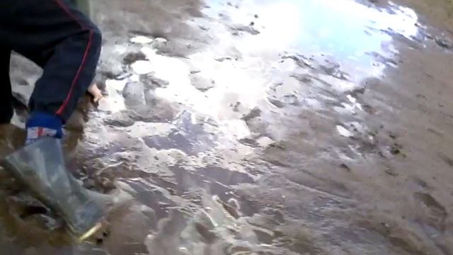 Мы ходим по болоту.😯 смотреть онлайн