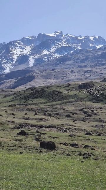 Гора Шалбуздаг —высота 4142mн.у.м. #дагестан #махачкала #кавказ#каспийск #дербент