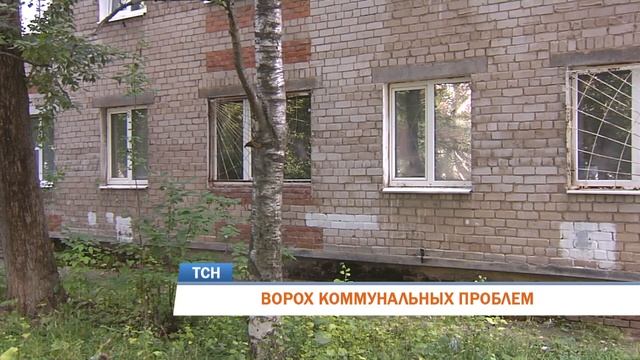 Телевизионная служба новостей (25 июля)