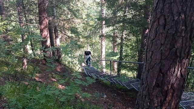 Оленьи ручьи_25-26.07.23 смотреть онлайн