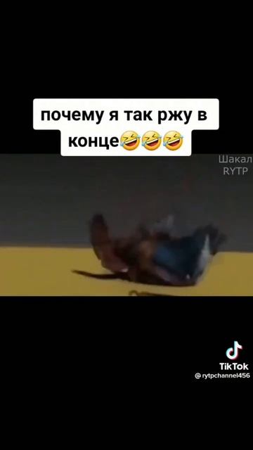 #2023 #игры #мелонплейграунд #мем #подпишись #прикол #антидиз #новыйгод #лето #kc смотреть онлайн