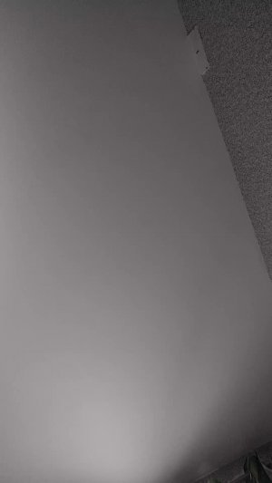 когти на верхней форме