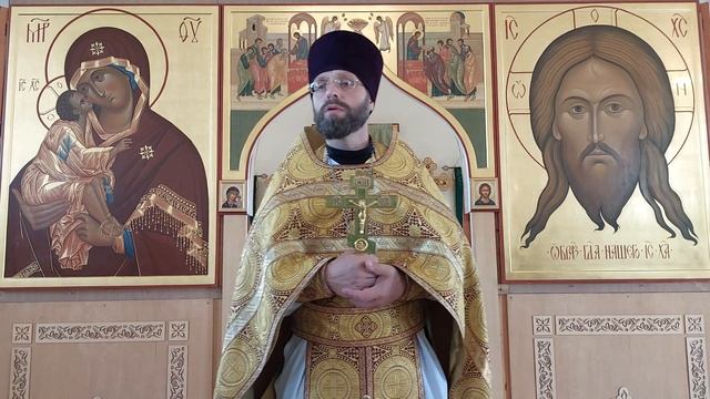 Собор Белорусских Святых. Поздравление Ангелины. Проповедь. Димитрия 14.07.24 смотреть онлайн