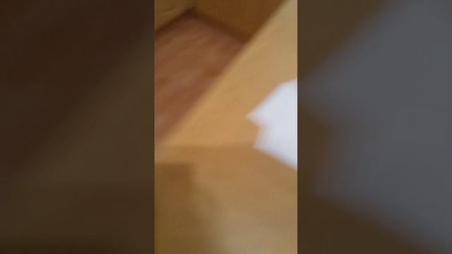 Мне бабушка Оля дала конверт с бумагами Белая, Акварельная, Крафт, Чёрная, и в Клетку бумага! смотреть онлайн