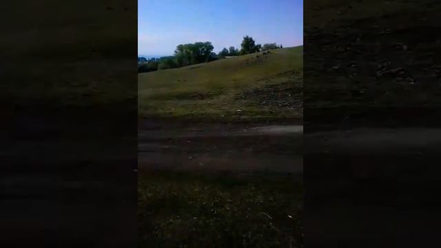 Горы))) смотреть онлайн