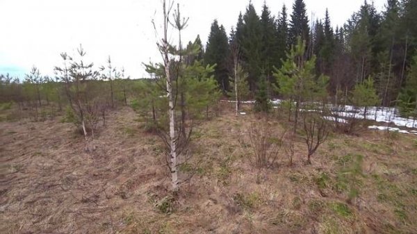 Трицикл SR-32 Light Pro-R. Первые покатушки.