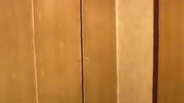 Прикол со спящими смотреть онлайн