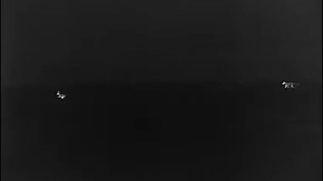 Лиса и заяц смотреть онлайн