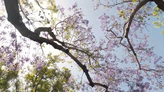 Трусы мне постирай! Тетка командовала в квартире Ирин? смотреть онлайн