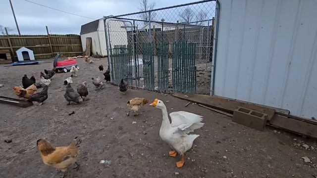 МОЯ МЕЧТА СЕГОДНЯ ОСУЩЕСТВИЛАСЬ ,РАСПАКОВКА. ХУТОР В США,  Сельчанка в Америке 👩🌾!