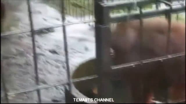 ЛУЧШИЕ ПРИКОЛЫ ЗА НЕДЕЛЮ (ВЫПУСК #27) смотреть онлайн