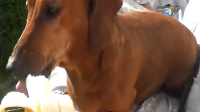 отдых 9 смотреть онлайн