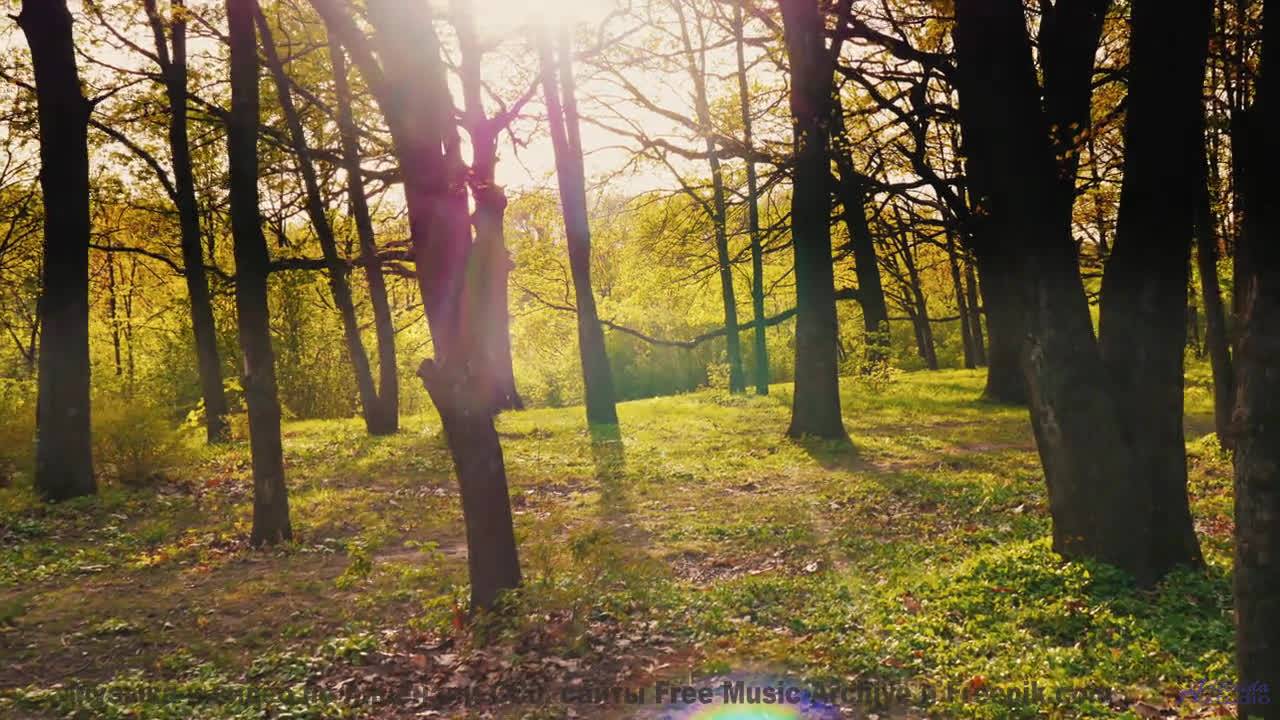 Эта песня - ваш секретный код для спонтанных путешествий - Virtual Violin Virtuoso -- Techtheist --