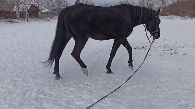 Цыган занятие 32 отчет