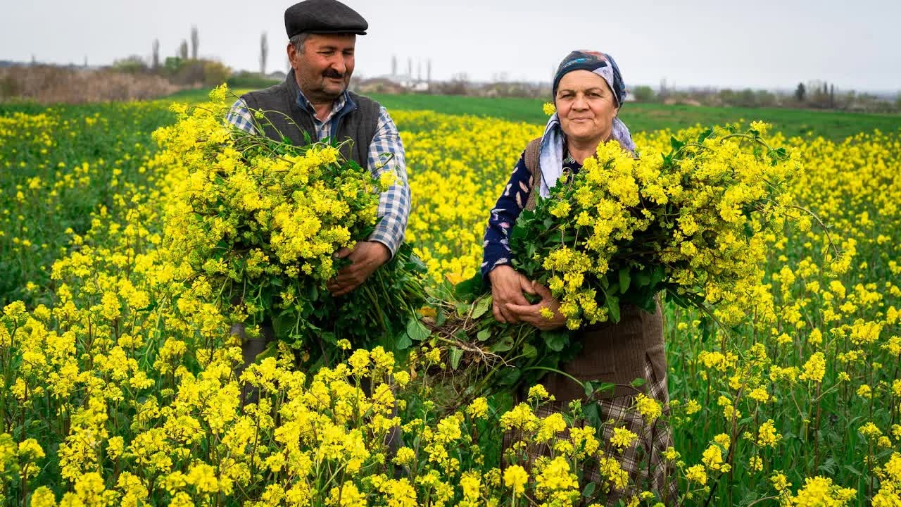 Дикая Горчица | Сбор, Подготовка и Приготовление смотреть онлайн