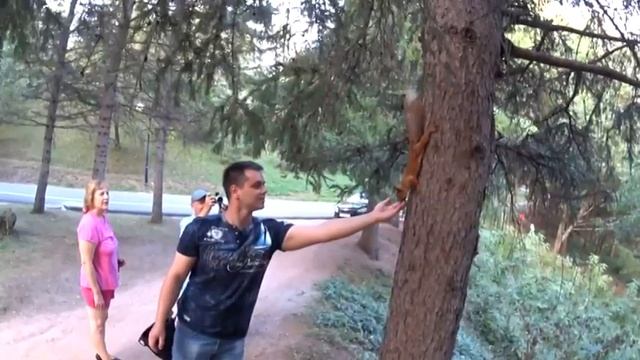 Прости белка,мы не хотели смотреть онлайн