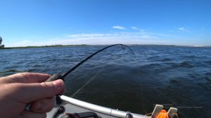 Встали на ход рыбы. Ловля леща на кольцо. Рыбалка на Волге