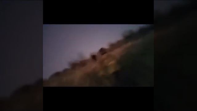 Катаюсь на лошади смотреть онлайн