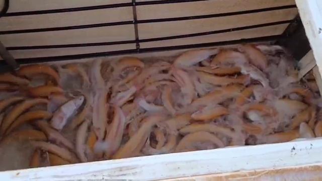 16-05-2025 смотреть онлайн