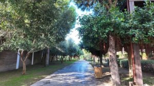 Voyage Belek обзор одного из лучших турецких отелей