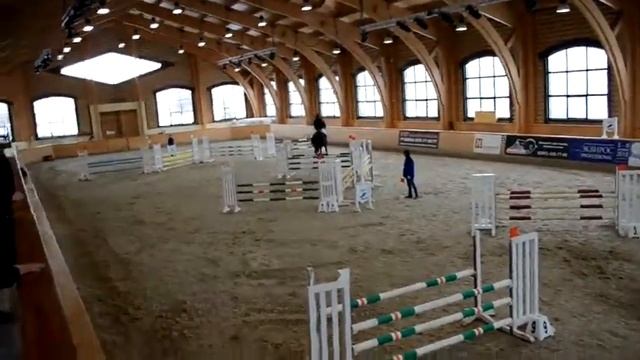 Соревнование по конкуру Прибой (КСК Пегас до 100см) 24.02.2018