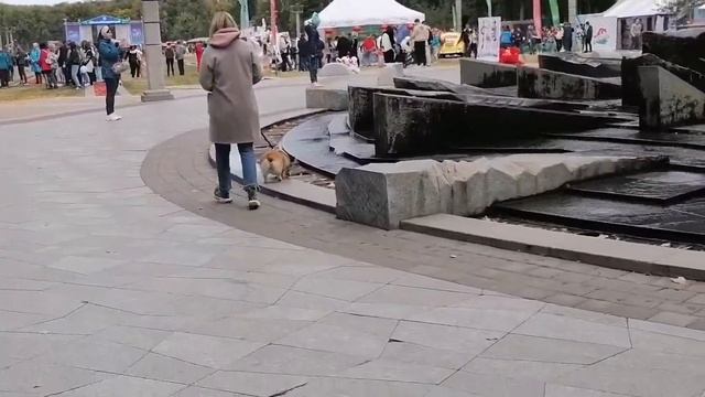 Минску 955 лет смотреть онлайн