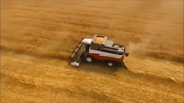 группа №15 смотреть онлайн