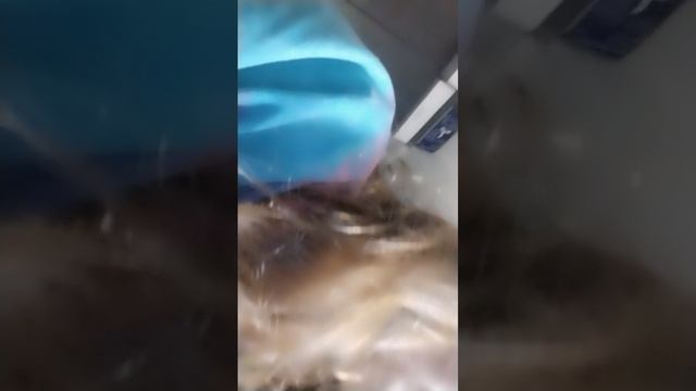 1 лайфхак и обзор на мои крутые вещи обычное видео смотреть онлайн