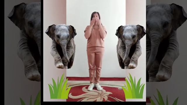 "У жирафа плями плями" весела руханка для дітей різновікової групи смотреть онлайн