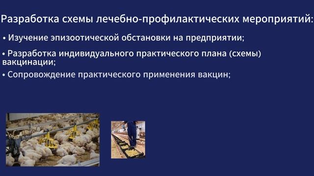 Птичий грипп: восстановление работы птицефабрики.