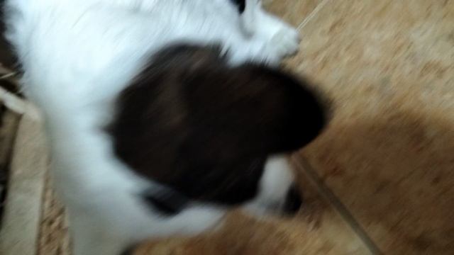 п̊р̊а̊н̊к̊и̊ 🪿🫨🫸🫷🫏 смотреть онлайн