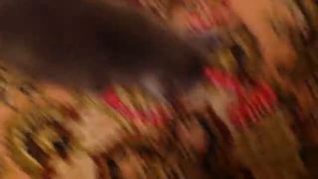 Ты слишком сильный смотреть онлайн