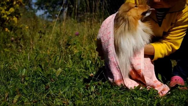 Последние дни лета