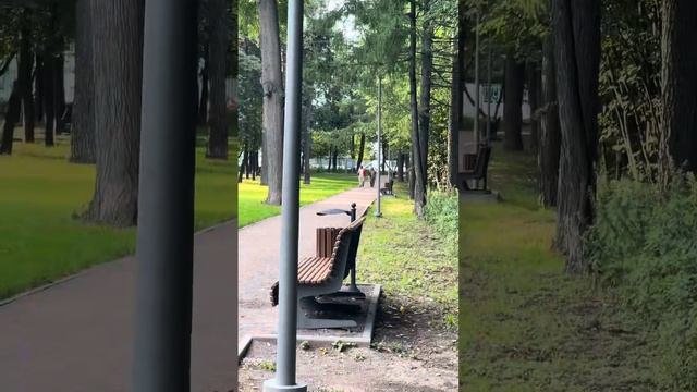 Экстренное включение! Не делайте так никогда…. Dji mavic pro и дерево … смотреть онлайн